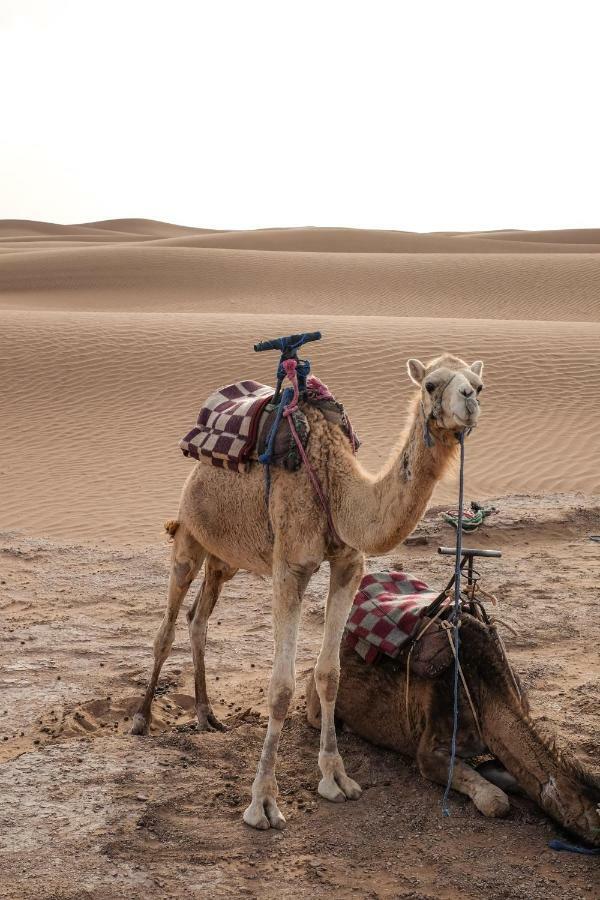 Kasbah Aitisfoul Hotell Tagounite Exteriör bild